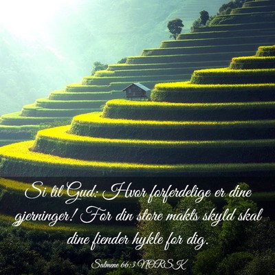 Picture 03 - Salmene 66:3 NORSK - Si til Gud: Hvor forferdelige er dine gjerninger! - Bible Verse Picture