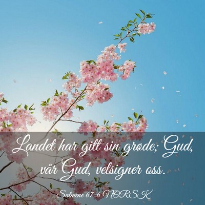 Picture 03 - Salmene 67:6 NORSK - Landet har gitt sin grøde; Gud, vår Gud, - Bible Verse Picture