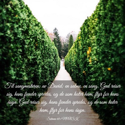Picture 03 - Salmene 68:1 NORSK - Til sangmesteren; av David; en salme, en sang. - Bible Verse Picture