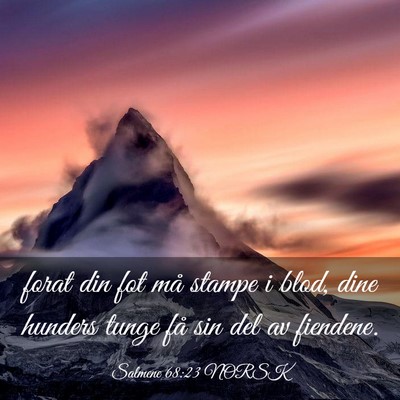 Picture 03 - Salmene 68:23 NORSK - forat din fot må stampe i blod, dine hunders - Bible Verse Picture