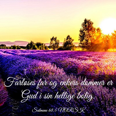 Picture 03 - Salmene 68:5 NORSK - Farløses far og enkers dommer er Gud i sin - Bible Verse Picture