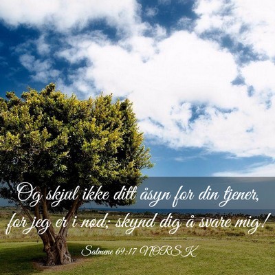 Picture 03 - Salmene 69:17 NORSK - Og skjul ikke ditt åsyn for din tjener, for jeg - Bible Verse Picture