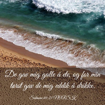 Picture 03 - Salmene 69:21 NORSK - De gav mig galle å ete, og for min tørst gav de - Bible Verse Picture