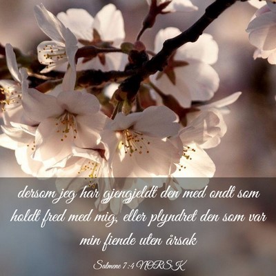 Picture 03 - Salmene 7:4 NORSK - dersom jeg har gjengjeldt den med ondt som holdt - Bible Verse Picture