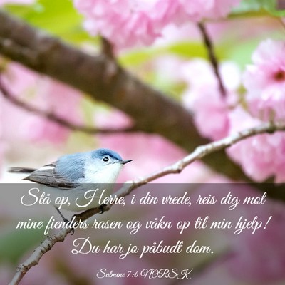 Picture 03 - Salmene 7:6 NORSK - Stå op, Herre, i din vrede, reis dig mot mine - Bible Verse Picture