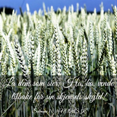Picture 03 - Salmene 70:3 NORSK - La dem som sier: Ha, ha, vende tilbake for sin - Bible Verse Picture