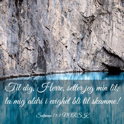 Picture 03 - Salmene 71:1 NORSK - Til dig, Herre, setter jeg min lit; la mig aldri - Bible Verse Picture