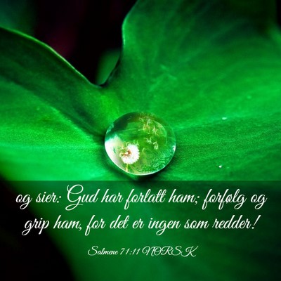 Picture 03 - Salmene 71:11 NORSK - og sier: Gud har forlatt ham; forfølg og grip - Bible Verse Picture