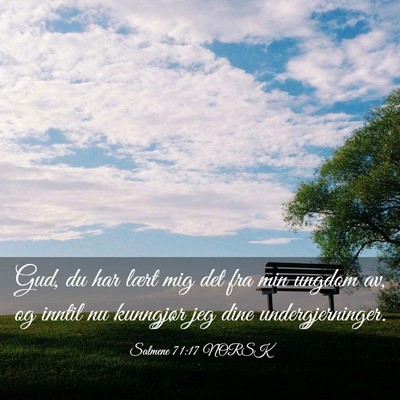 Picture 03 - Salmene 71:17 NORSK - Gud, du har lært mig det fra min ungdom av, og - Bible Verse Picture