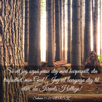 Picture 03 - Salmene 71:22 NORSK - Så vil jeg også prise dig med harpespill, din - Bible Verse Picture