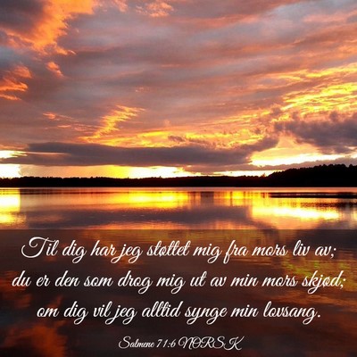 Picture 03 - Salmene 71:6 NORSK - Til dig har jeg støttet mig fra mors liv av; du - Bible Verse Picture
