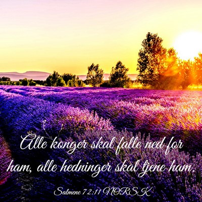 Picture 03 - Salmene 72:11 NORSK - Alle konger skal falle ned for ham, alle - Bible Verse Picture