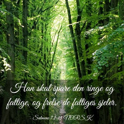 Picture 03 - Salmene 72:13 NORSK - Han skal spare den ringe og fattige, og frelse de - Bible Verse Picture