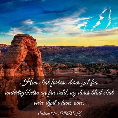 Picture 03 - Salmene 72:14 NORSK - Han skal forløse deres sjel fra undertrykkelse - Bible Verse Picture