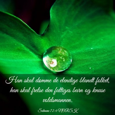 Picture 03 - Salmene 72:4 NORSK - Han skal dømme de elendige blandt folket, han - Bible Verse Picture