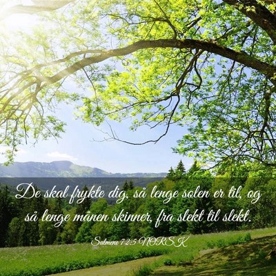 Picture 03 - Salmene 72:5 NORSK - De skal frykte dig, så lenge solen er til, og - Bible Verse Picture