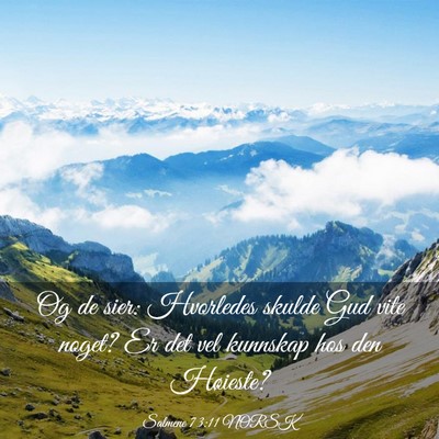 Picture 03 - Salmene 73:11 NORSK - Og de sier: Hvorledes skulde Gud vite noget? Er - Bible Verse Picture