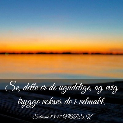 Picture 03 - Salmene 73:12 NORSK - Se, dette er de ugudelige, og evig trygge vokser - Bible Verse Picture