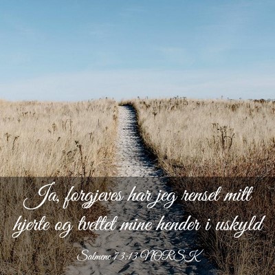 Picture 03 - Salmene 73:13 NORSK - Ja, forgjeves har jeg renset mitt hjerte og - Bible Verse Picture