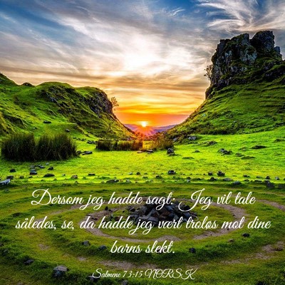 Picture 03 - Salmene 73:15 NORSK - Dersom jeg hadde sagt: Jeg vil tale således, se, - Bible Verse Picture