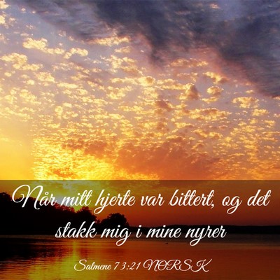 Picture 03 - Salmene 73:21 NORSK - Når mitt hjerte var bittert, og det stakk mig i - Bible Verse Picture