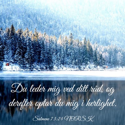 Picture 03 - Salmene 73:24 NORSK - Du leder mig ved ditt råd, og derefter optar du - Bible Verse Picture