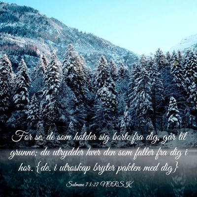 Picture 03 - Salmene 73:27 NORSK - For se, de som holder sig borte fra dig, går til - Bible Verse Picture