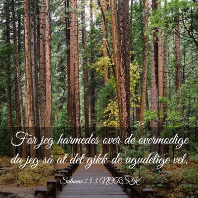 Picture 03 - Salmene 73:3 NORSK - For jeg harmedes over de overmodige da jeg så at - Bible Verse Picture