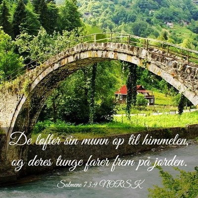 Picture 03 - Salmene 73:9 NORSK - De løfter sin munn op til himmelen, og deres - Bible Verse Picture