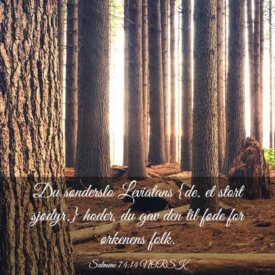 Picture 03 - Salmene 74:14 NORSK - Du sønderslo Leviatans {de. et stort sjødyr.} - Bible Verse Picture