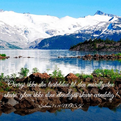 Picture 03 - Salmene 74:19 NORSK - Overgi ikke din turteldue til den mordlystne - Bible Verse Picture