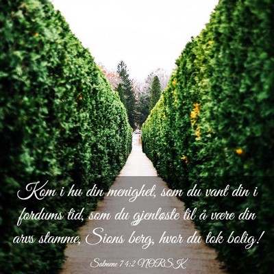 Picture 03 - Salmene 74:2 NORSK - Kom i hu din menighet, som du vant din i fordums - Bible Verse Picture