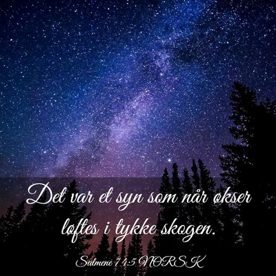 Picture 03 - Salmene 74:5 NORSK - Det var et syn som når økser løftes i tykke - Bible Verse Picture