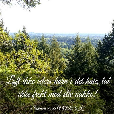 Picture 03 - Salmene 75:5 NORSK - Løft ikke eders horn i det høie, tal ikke frekt - Bible Verse Picture