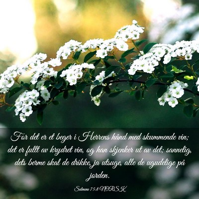 Picture 03 - Salmene 75:8 NORSK - For det er et beger i Herrens hånd med skummende - Bible Verse Picture
