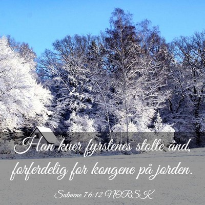 Picture 03 - Salmene 76:12 NORSK - Han kuer fyrstenes stolte ånd, forferdelig for - Bible Verse Picture