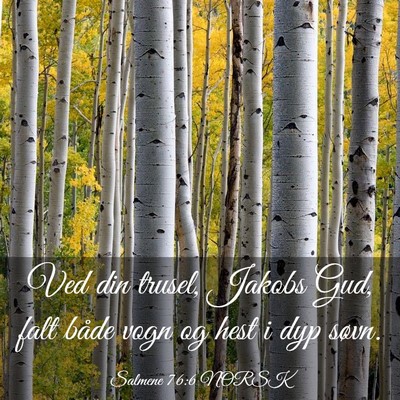 Picture 03 - Salmene 76:6 NORSK - Ved din trusel, Jakobs Gud, falt både vogn og - Bible Verse Picture