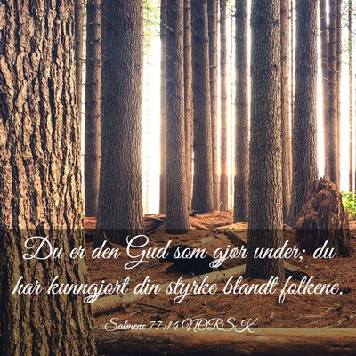 Picture 03 - Salmene 77:14 NORSK - Du er den Gud som gjør under; du har kunngjort - Bible Verse Picture