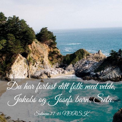 Picture 03 - Salmene 77:15 NORSK - Du har forløst ditt folk med velde, Jakobs og - Bible Verse Picture