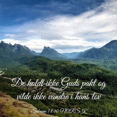 Picture 03 - Salmene 78:10 NORSK - De holdt ikke Guds pakt og vilde ikke vandre i - Bible Verse Picture