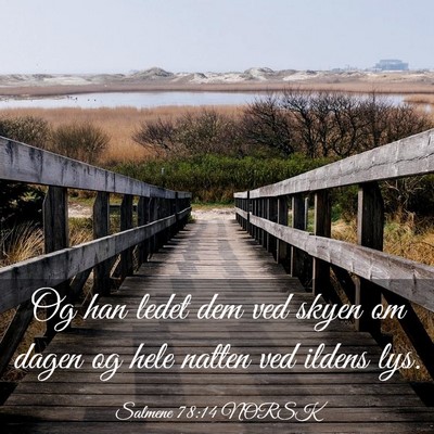 Picture 03 - Salmene 78:14 NORSK - Og han ledet dem ved skyen om dagen og hele - Bible Verse Picture
