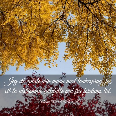 Picture 03 - Salmene 78:2 NORSK - Jeg vil oplate min munn med tankesprog, jeg vil - Bible Verse Picture