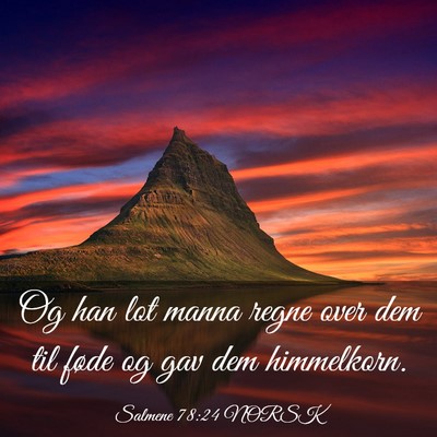 Picture 03 - Salmene 78:24 NORSK - Og han lot manna regne over dem til føde og gav - Bible Verse Picture