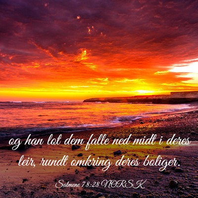 Picture 03 - Salmene 78:28 NORSK - og han lot dem falle ned midt i deres leir, rundt - Bible Verse Picture