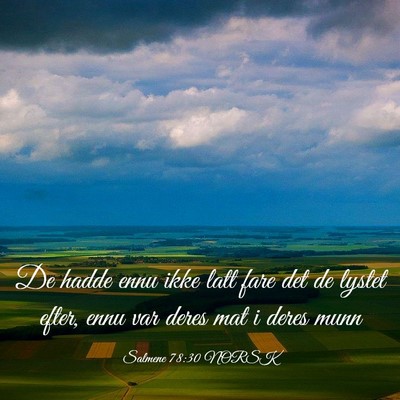 Picture 03 - Salmene 78:30 NORSK - De hadde ennu ikke latt fare det de lystet efter, - Bible Verse Picture