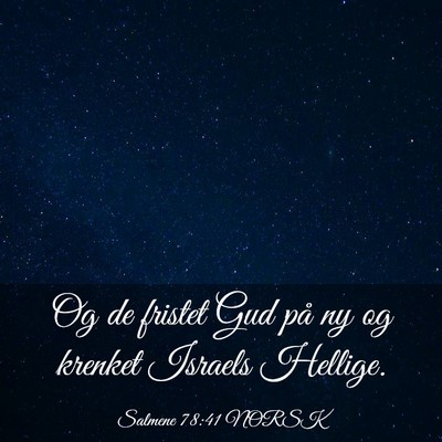 Picture 03 - Salmene 78:41 NORSK - Og de fristet Gud på ny og krenket Israels - Bible Verse Picture