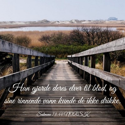 Picture 03 - Salmene 78:44 NORSK - Han gjorde deres elver til blod, og sine rinnende - Bible Verse Picture