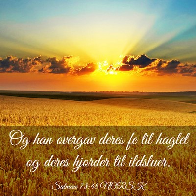 Picture 03 - Salmene 78:48 NORSK - Og han overgav deres fe til haglet og deres - Bible Verse Picture