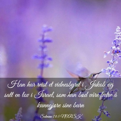 Picture 03 - Salmene 78:5 NORSK - Han har reist et vidnesbyrd i Jakob og satt en - Bible Verse Picture