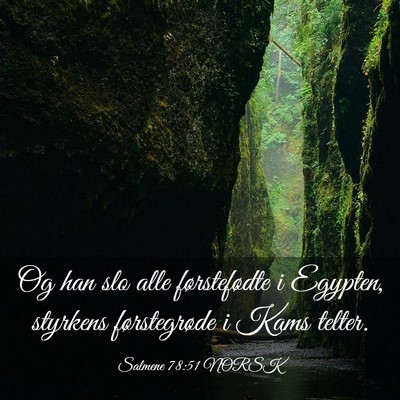 Picture 03 - Salmene 78:51 NORSK - Og han slo alle førstefødte i Egypten, styrkens - Bible Verse Picture